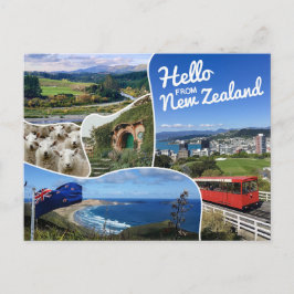 ニュージーランドからこんにちは ポストカード