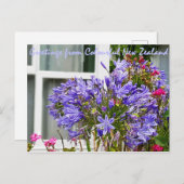 ニュージーランドからのご挨拶 ポストカード (正面/裏面)