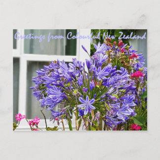 ニュージーランドからのご挨拶 ポストカード