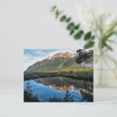 ニュージーランドからのポストカード ポストカード (スタンド正面)