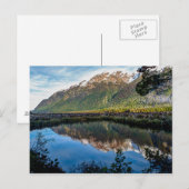 ニュージーランドからのポストカード ポストカード (正面/裏面)