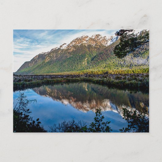 ニュージーランドからのポストカード ポストカード (正面)