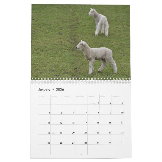 ニュージーランドのカレンダーの2015頭のヒツジ カレンダー (1月 2026)