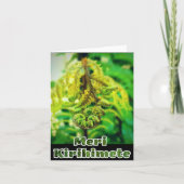 ニュージーランドのクリスマスファーンキウィメリKIRIHIMETE シーズンカード (正面)