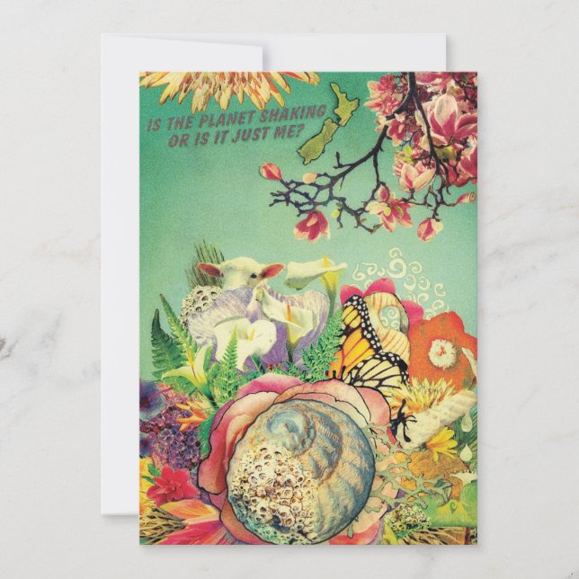 ニュージーランドのコラージュ (正面)