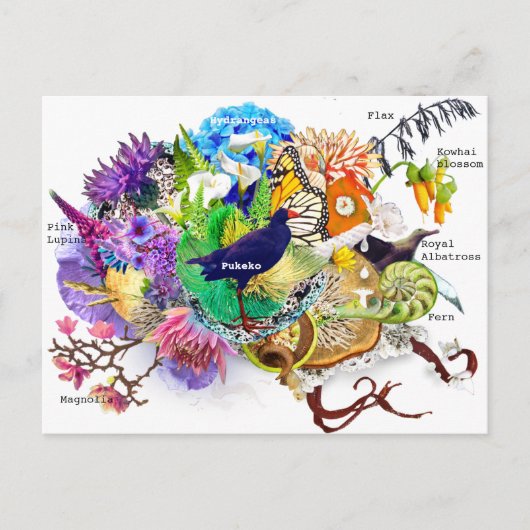 ニュージーランドのコラージュ ポストカード (正面)