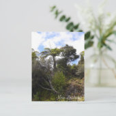 ニュージーランドのジャングル、シダの木、先住民林 ポストカード (スタンド正面)