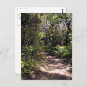 ニュージーランドのブシュウォーキング ポストカード (正面/裏面)