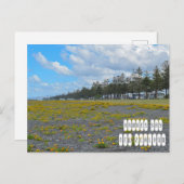 ニュージーランドのホークス湾 ポストカード (正面/裏面)