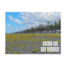 ニュージーランドのホークス湾