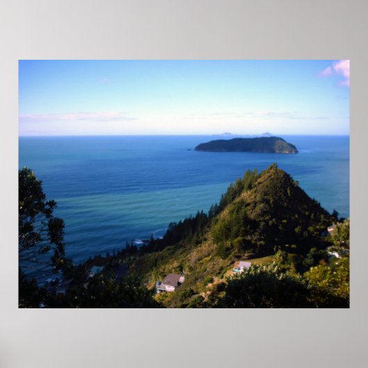 ニュージーランドのポスター白大羅山の頂上 ポスター (正面)