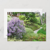 ニュージーランドのラベンダーの花。 ポストカード (正面/裏面)