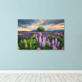 ニュージーランドのルパン・フィールド キャンバスプリント (インサイチュ (ウッドフロア))