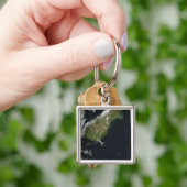 ニュージーランドの南の島の大部分のビュー キーホルダー (手)