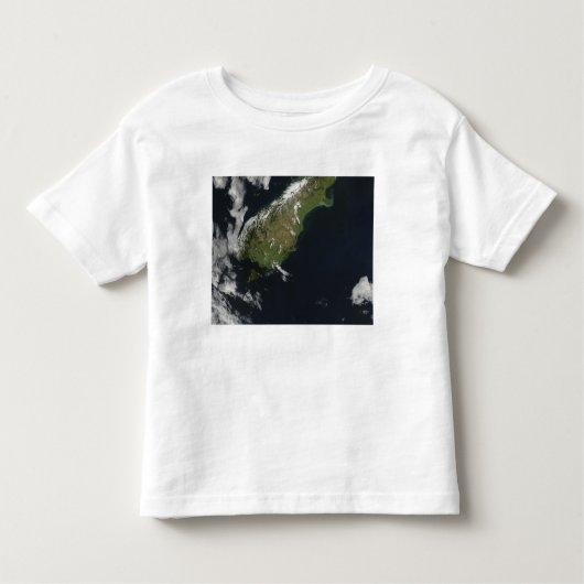 ニュージーランドの南の島の大部分のビュー トドラーTシャツ (正面)