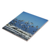 ニュージーランドの南島、飛んでいるカモメ タイル (側面)