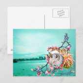 ニュージーランドの大学 ポストカード (正面/裏面)