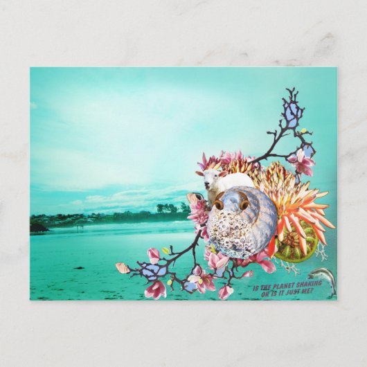 ニュージーランドの大学 ポストカード (正面)