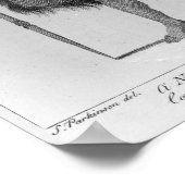 ニュージーランドの戦士 ポスター (角)