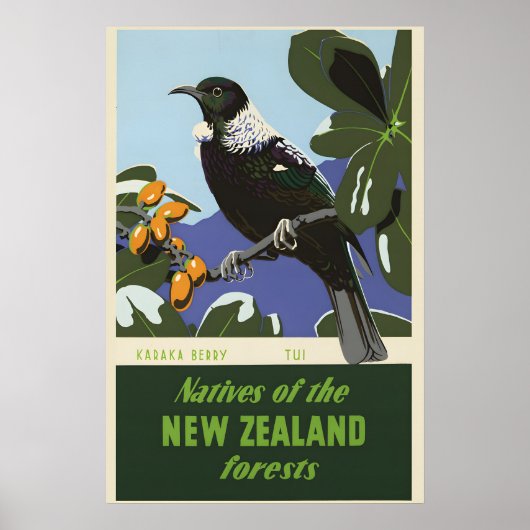 ニュージーランドの森の鳥 カラカの実 1950年代 ビンテージ ポスター (正面)