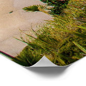 ニュージーランドの海岸線 ポスター (角)