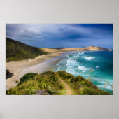 ニュージーランドの海岸線 ポスター (正面)