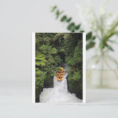 ニュージーランドの滝をラフティング ポストカード (スタンド正面)