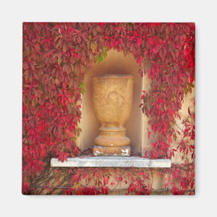ニュージーランドの紅葉 マグネット