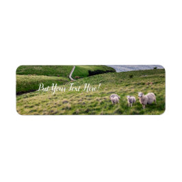 ニュージーランドの羊 |クリストチャーチ風景 | NZ ラベル