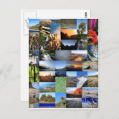 ニュージーランドの自然風景モンテージ（キウィアーナ） ポストカード (正面/裏面)