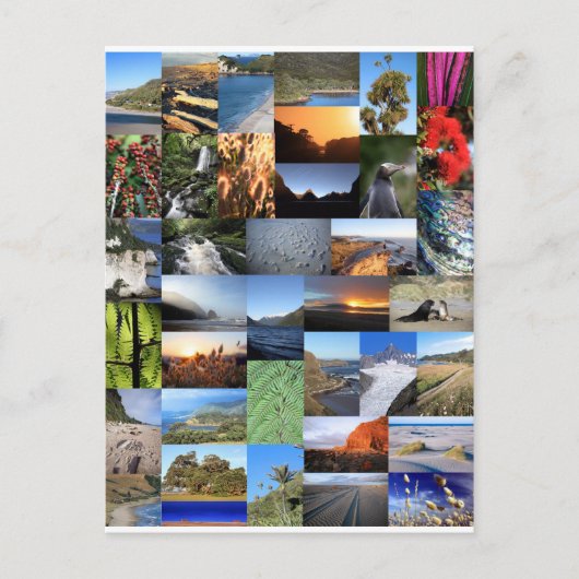 ニュージーランドの自然風景モンテージ（キウィアーナ） ポストカード (正面)