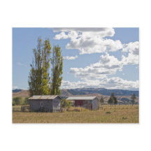 ニュージーランドの農小屋 ポストカード