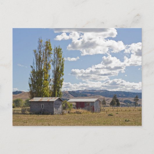 ニュージーランドの農小屋 ポストカード (正面)