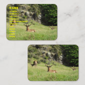 ニュージーランドの雄鹿 名刺 (正面/裏面)