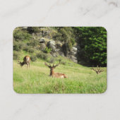 ニュージーランドの雄鹿 名刺 (裏面)