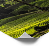 ニュージーランドの風光明媚なノースランド、美しい農地 ポスター (角)