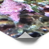 ニュージーランドの魚 ポスター (角)