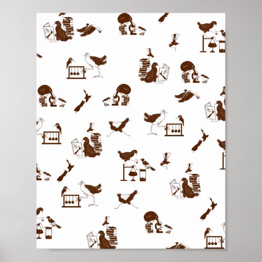 ニュージーランドの鳥類科学の学生 ポスター (正面)