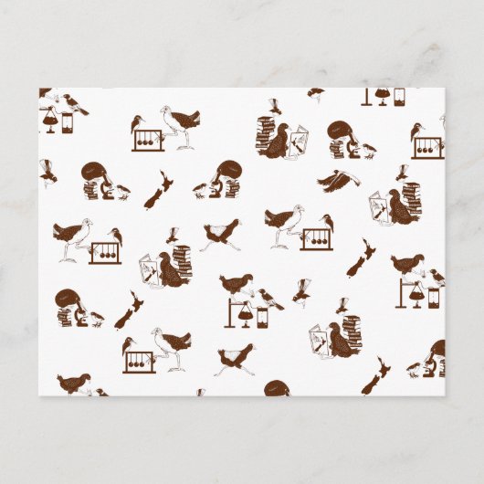 ニュージーランドの鳥類科学の学生 ポストカード (正面)