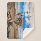 ニュージーランドのHokitikaビーチの流木アートワーク シェルパブランケット (正面)