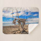 ニュージーランドのHokitikaビーチの流木アートワーク シェルパブランケット (正面(横))