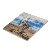 ニュージーランドのHokitikaビーチの流木アートワーク タイル (側面)