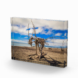 ニュージーランドのHokitikaビーチの流木アートワーク フォトブロック