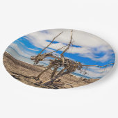 ニュージーランドのHokitikaビーチの流木アートワーク ペーパープレート (アングル)