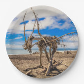 ニュージーランドのHokitikaビーチの流木アートワーク ペーパープレート (正面)