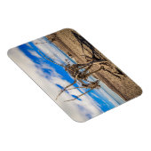 ニュージーランドのHokitikaビーチの流木アートワーク マグネット (右側)