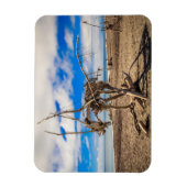 ニュージーランドのHokitikaビーチの流木アートワーク マグネット (縦)