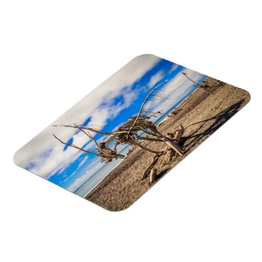 ニュージーランドのHokitikaビーチの流木アートワーク マグネット (左側)