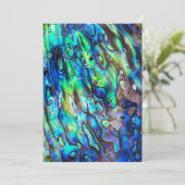 ニュージーランドアワロンパウアシェルパターン1 (スタンド正面)