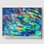 ニュージーランドアワロンパウアシェルパターン1 ゲストブック (裏面)